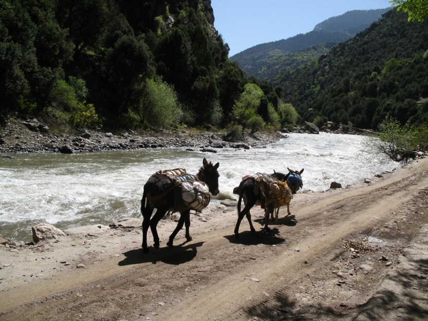 Donkeys follow the Kunar river south, Nuristan