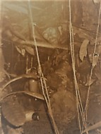 jungle hard routine patrol with umbrella